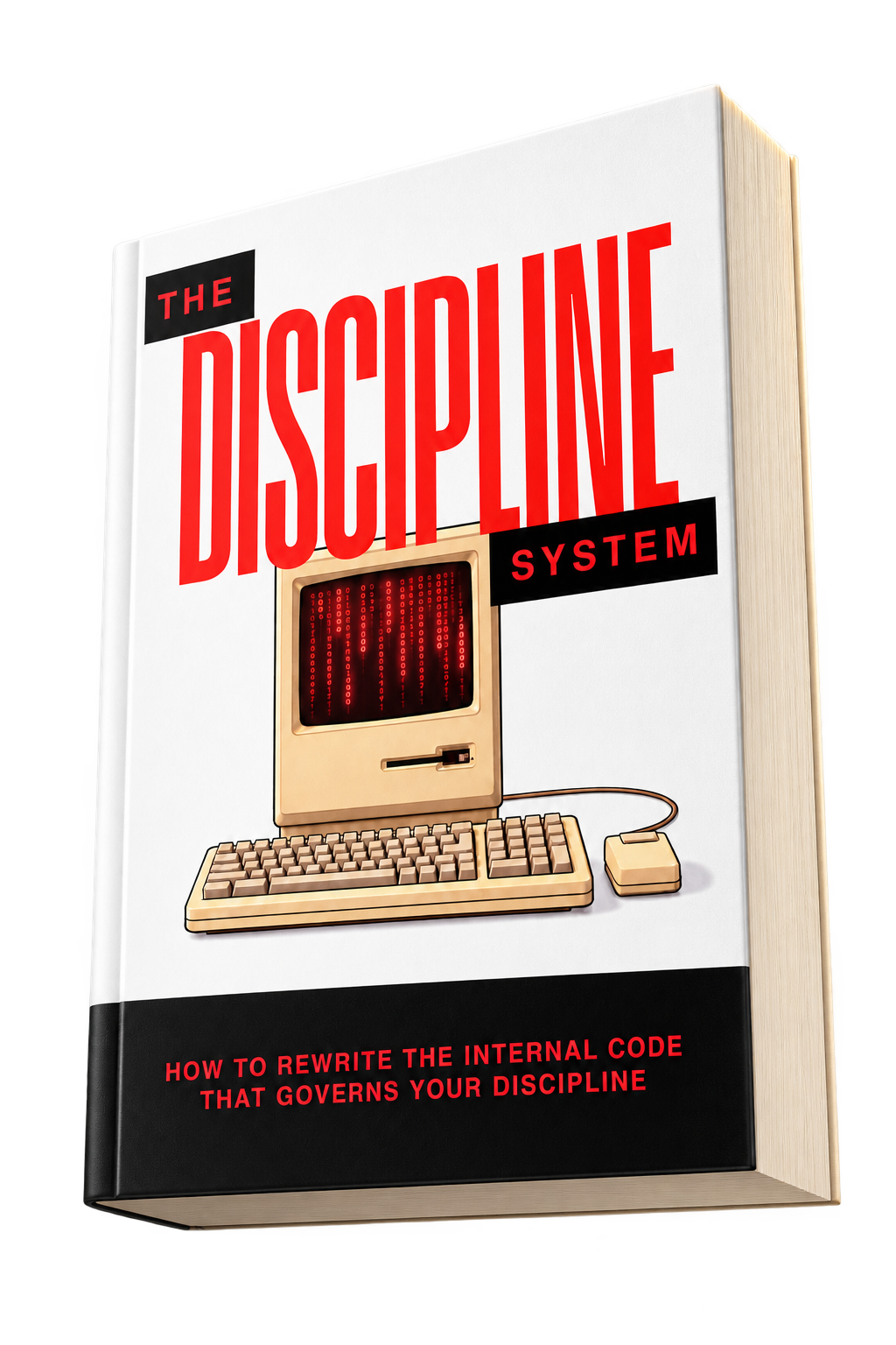 The Discipline System